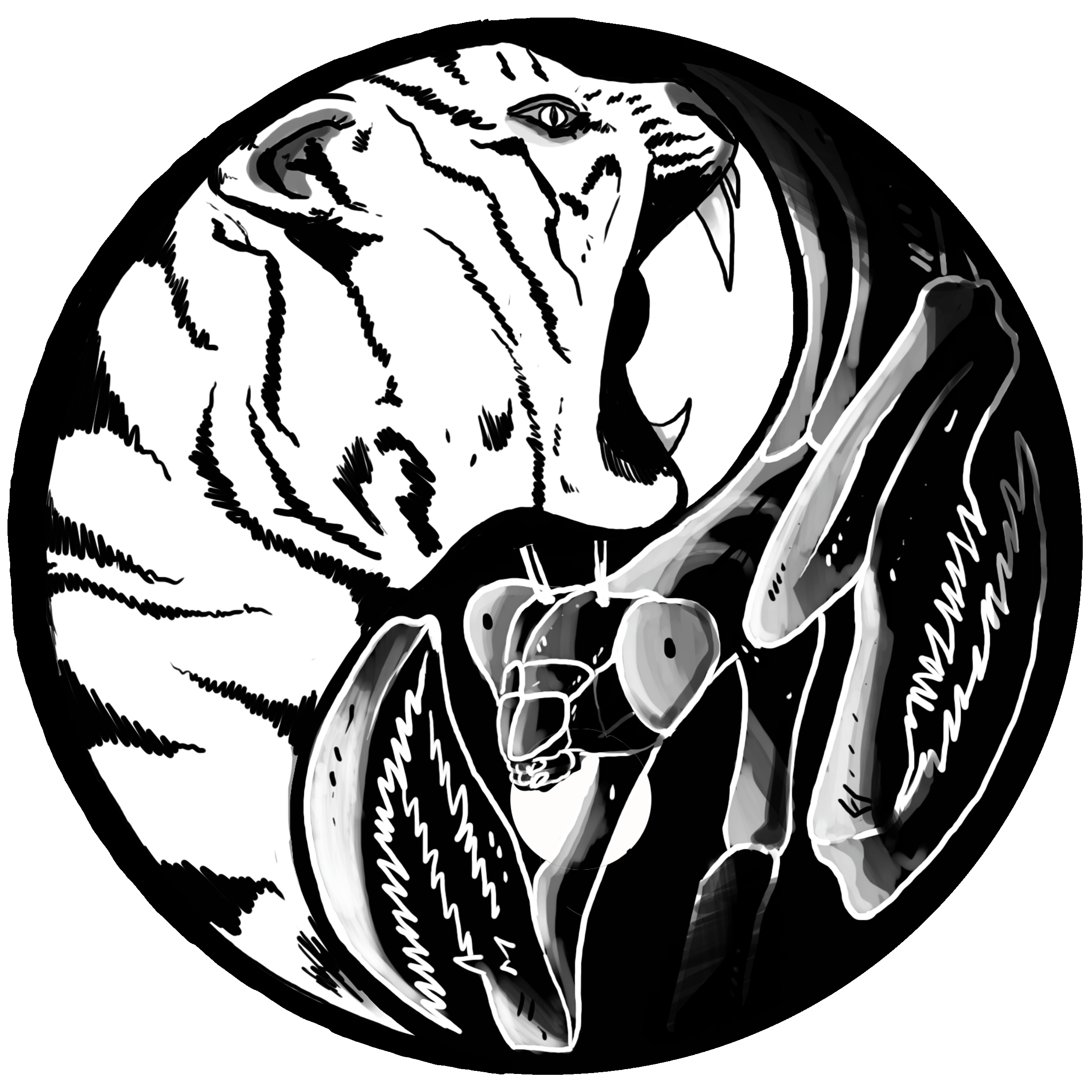 Logo Hujiaoquan
